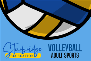 Adult Volleyball